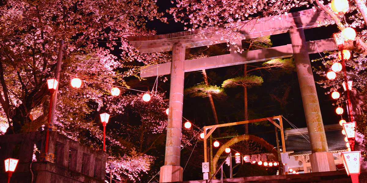 鬼怒川温泉神社(藤原町護国神社)の夜桜